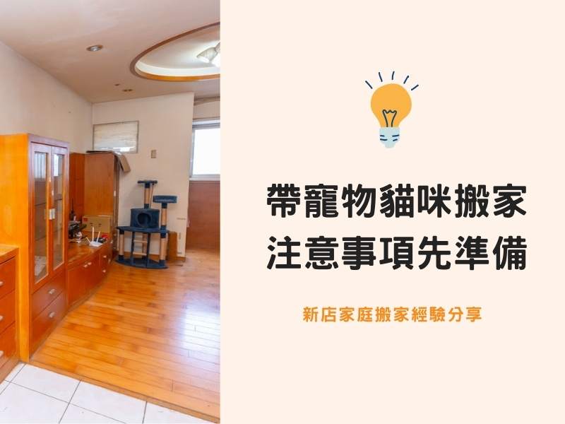 新店搬家－帶寵物貓咪搬家案例，這些注意事項先準備