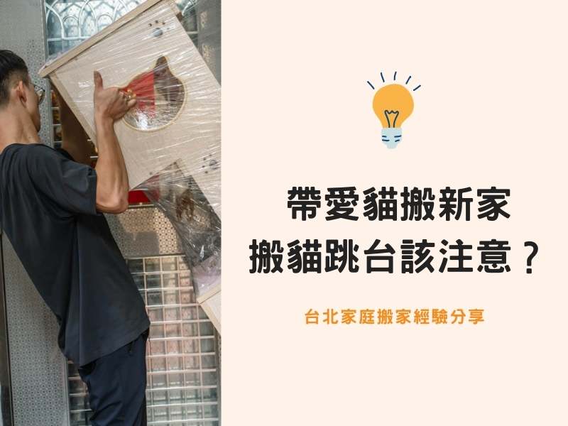 台北搬家－帶著愛貓一起搬新家，搬運貓跳台該注意？