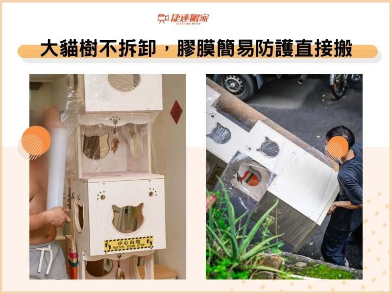 大型貓樹不拆卸，膠膜打包簡易防護直接搬